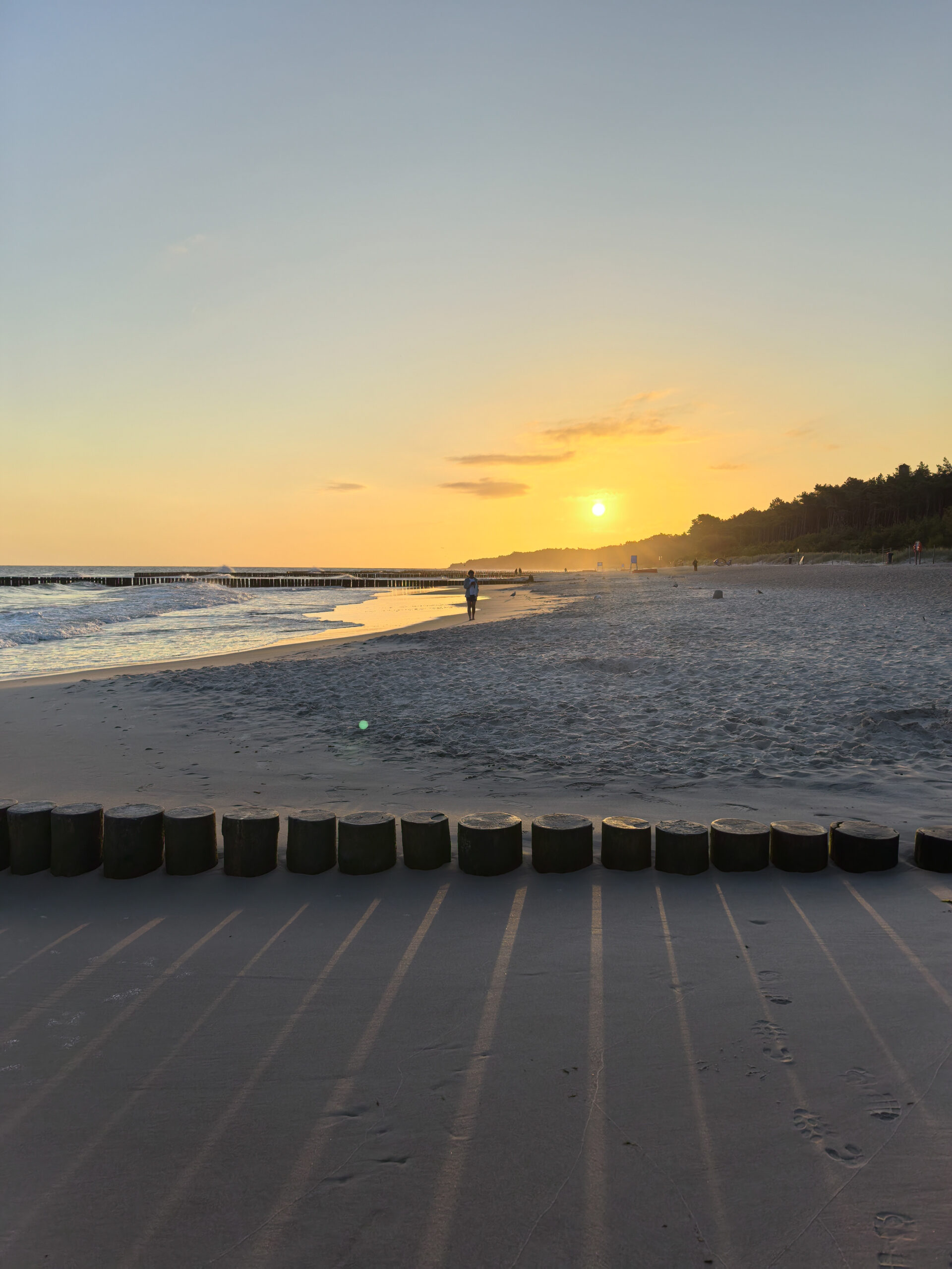 Zdjęcie przed obróbką