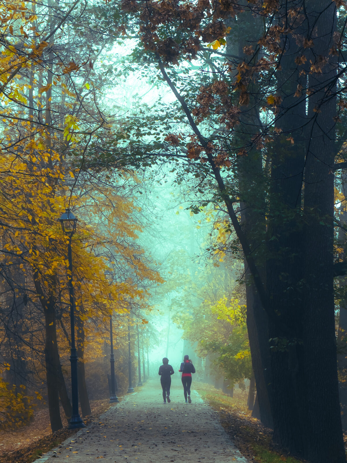 Jesienna alejka we mgle z dwiema biegnącymi osobami. Fotografia Bartłomieja Mazurka z eBooka.